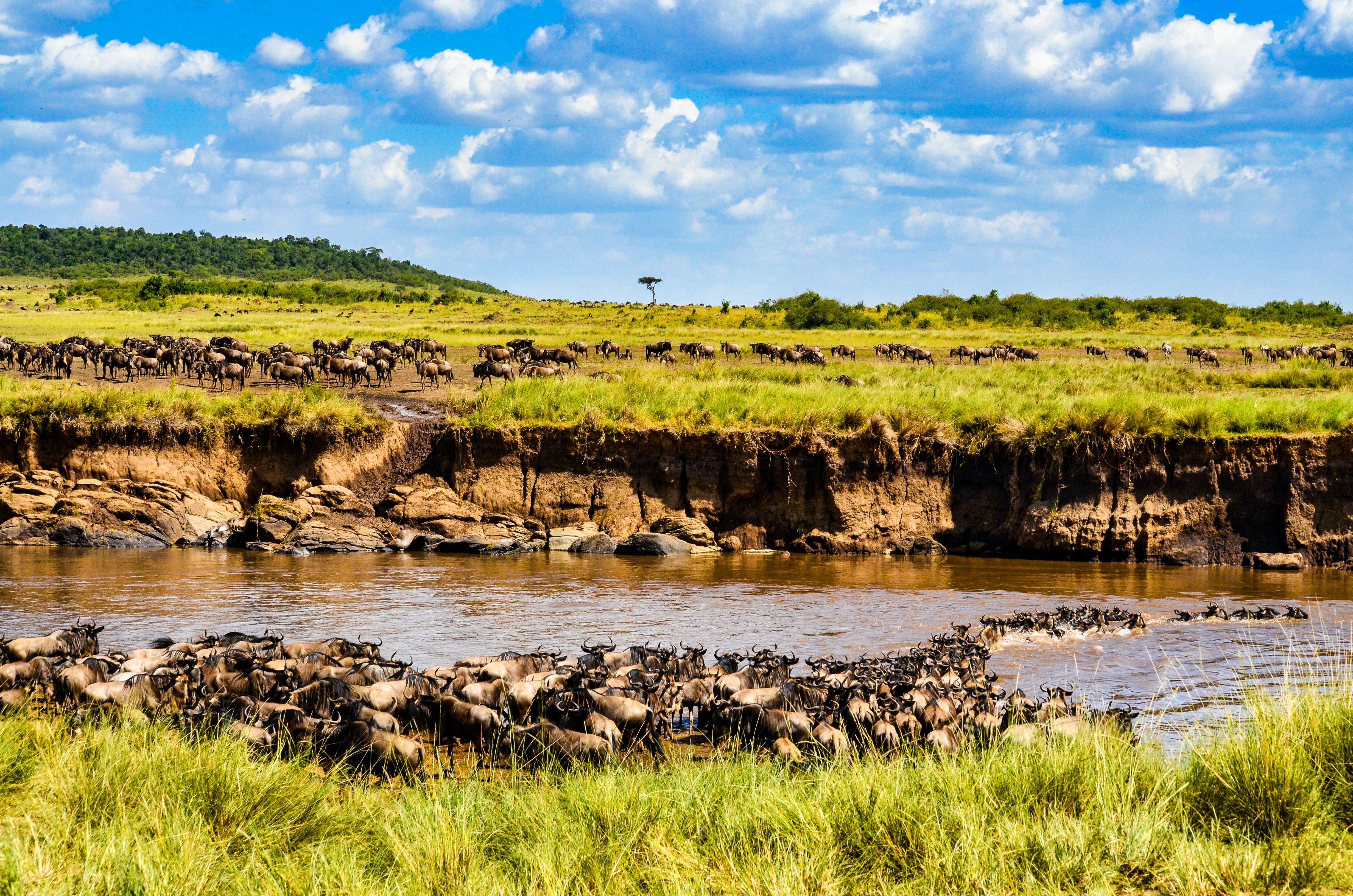 2 Day Tanzania Safari