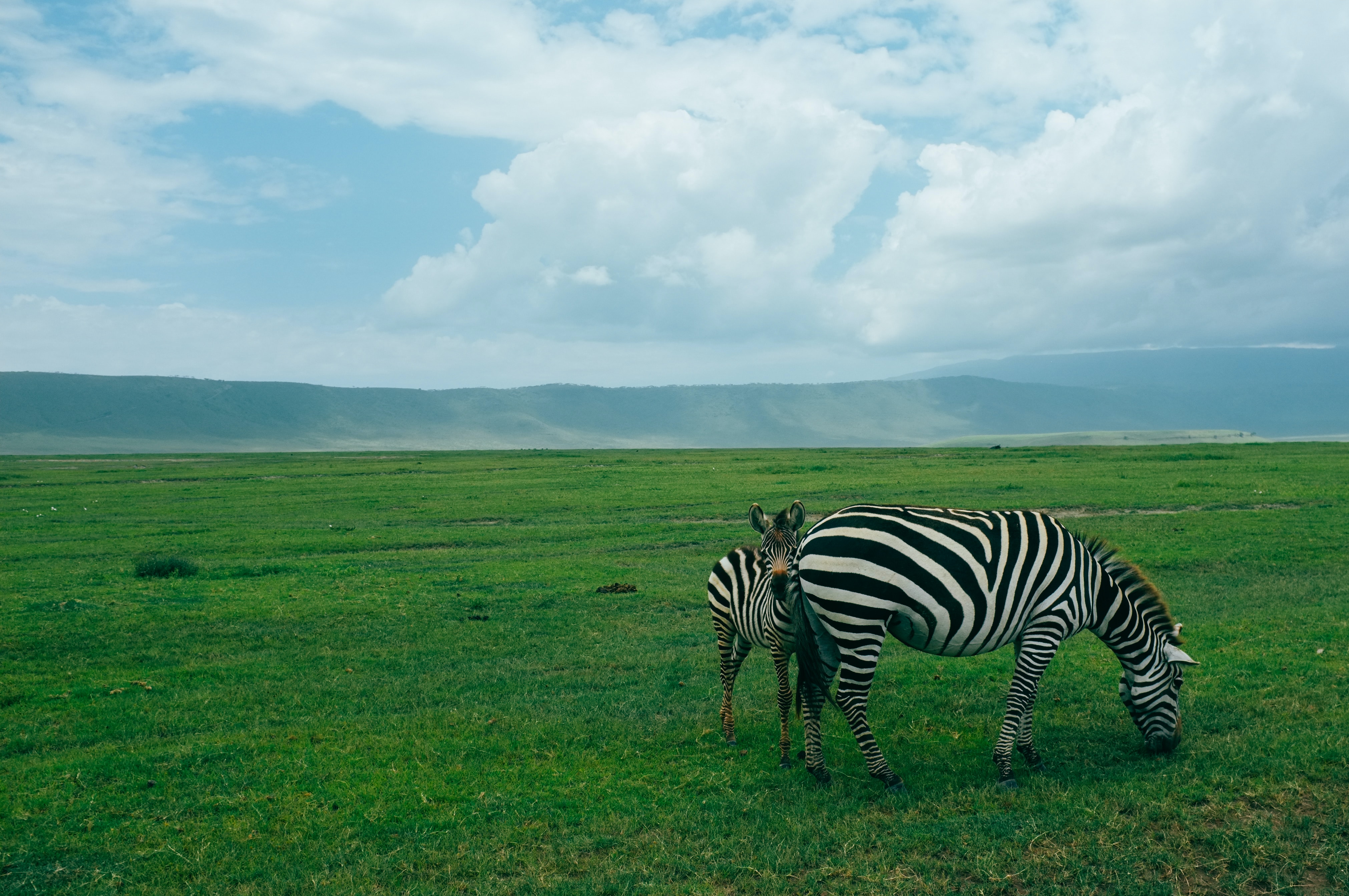 4 Day Tanzania Safari